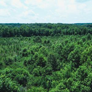 Photo #23 of 147 Hood Loop, Henderson, NC 57.0 acres