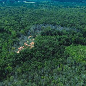 Photo #10 of 147 Hood Loop, Henderson, NC 57.0 acres