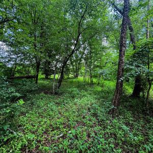 Photo #29 of 147 Hood Loop, Henderson, NC 57.0 acres