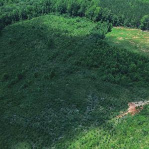 Photo #7 of 147 Hood Loop, Henderson, NC 57.0 acres