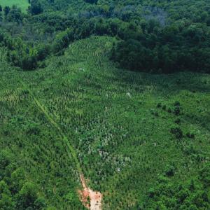 Photo #3 of 147 Hood Loop, Henderson, NC 57.0 acres