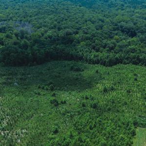 Photo #5 of 147 Hood Loop, Henderson, NC 57.0 acres