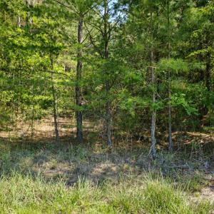 acreage timberlake nc