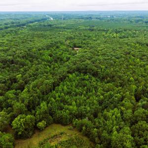 Photo #1 of Weldon Painter, Timberlake, NC 10.1 acres