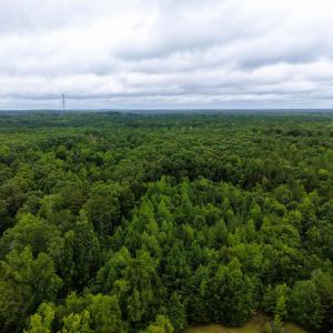 Photo #3 of Weldon Painter, Timberlake, NC 10.1 acres
