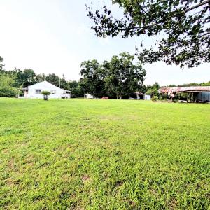 PXL_20260710_003735423~2