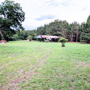 PXL_20260710_003843717~2