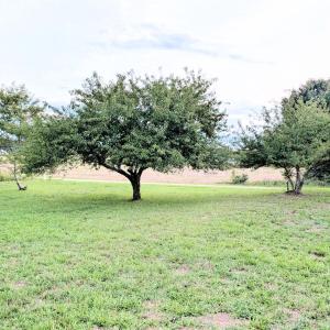 PXL_20260710_003817679~2
