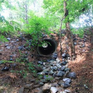 Drainage