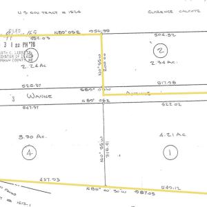 Plat - 9.88 Acre Assemblage - Hwy 751