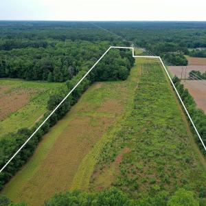 3 Paras 19.3 Acres Bunnlevel Erwin Rd