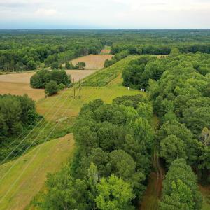 4 Paras 19.3 Acres Bunnlevel Erwin Rd