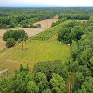 5 Paras 19.3 Acres Bunnlevel Erwin Rd
