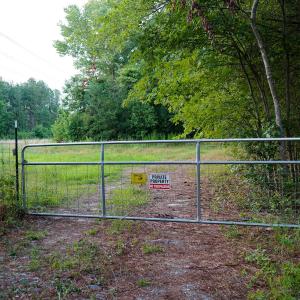 8 Paras 19.3 Acres Bunnlevel Erwin Rd