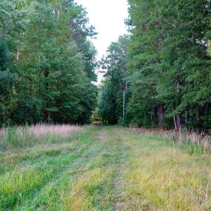 9 Paras 19.3 Acres Bunnlevel Erwin Rd
