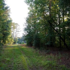 10 Paras 19.3 Acres Bunnlevel Erwin Rd