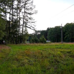 12 Paras 19.3 Acres Bunnlevel Erwin Rd