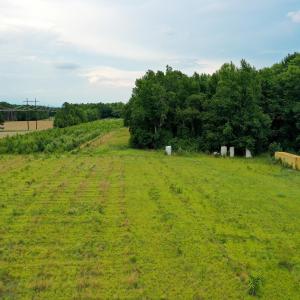 13 Paras 19.3 Acres Bunnlevel Erwin Rd