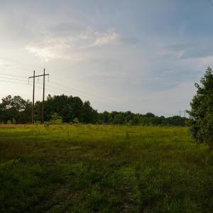 16 Paras 19.3 Acres Bunnlevel Erwin Rd