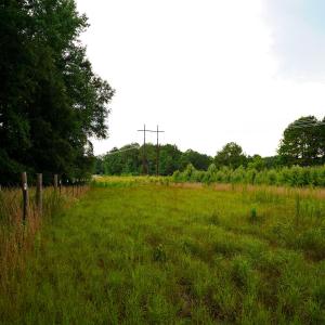 22 Paras 19.3 Acres Bunnlevel Erwin Rd