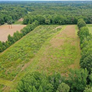 27 Paras 19.3 Acres Bunnlevel Erwin Rd