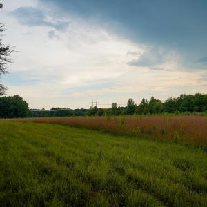 30 Paras 19.3 Acres Bunnlevel Erwin Rd