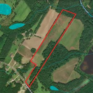 32 Paras 19.3 Acres Bunnlevel Erwin Rd