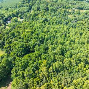 Caswell Co. NC 7.47-COA-Lot2-09