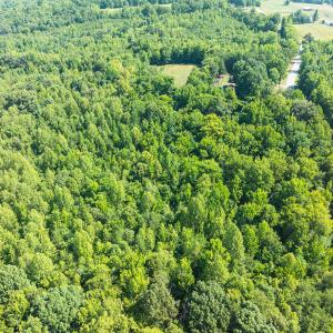 Caswell Co. NC 7.47-COA-Lot2-16