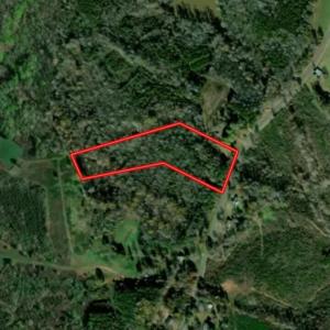 Caswell Co. NC 7.47-COA-Lot2-29