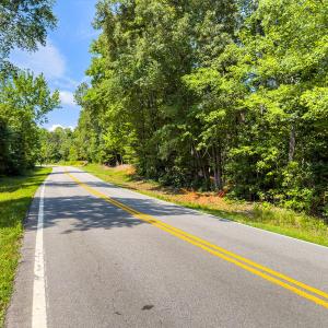 Caswell Co. NC 49.36-COA-Lot3-005