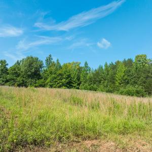 Caswell Co. NC 49.36-COA-Lot3-008