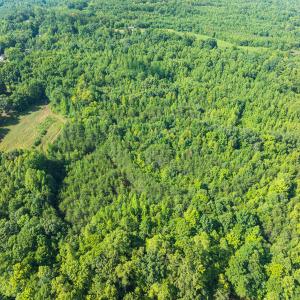 Caswell Co. NC 49.36-COA-Lot3-009