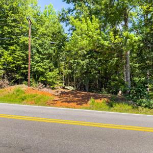 Caswell Co. NC 49.36-COA-Lot3-013