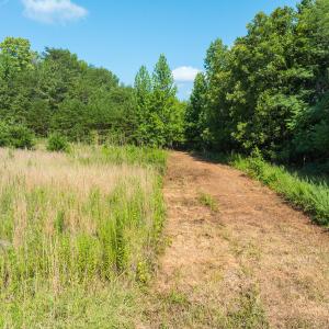 Caswell Co. NC 49.36-COA-Lot3-033