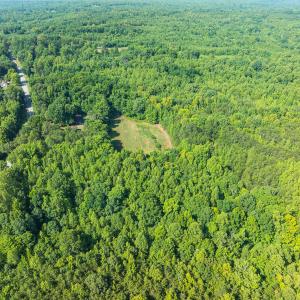 Caswell Co. NC 49.36-COA-Lot3-037
