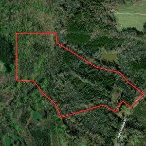 Caswell Co. NC 49.36-COA-Lot3-048