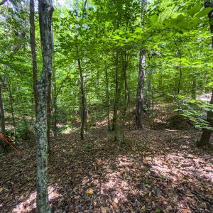 Caswell Co. NC 14.66-COA-Lot4-13