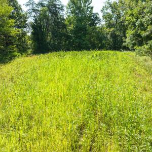 Caswell Co. NC 14.66-COA-Lot4-22