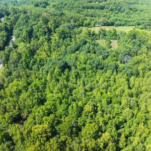 Caswell Co. NC 14.66-COA-Lot4-38