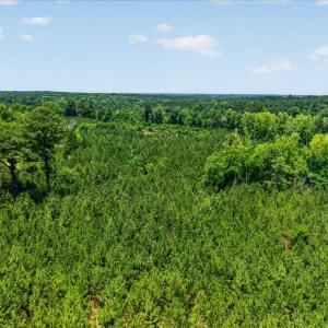 15-Finished hicksboro rd (9 of 15)