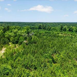 16-Finished hicksboro rd (10 of 15)