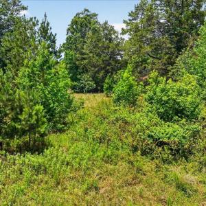 20-Finished hicksboro rd (14 of 15)