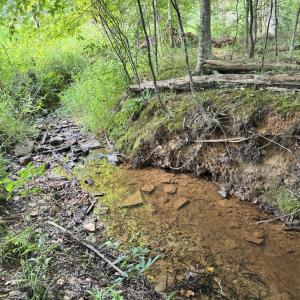Photo #3 of 2 Gray, Timberlake, NC 10.8 acres