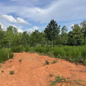 Photo #13 of 2 Gray, Timberlake, NC 10.8 acres