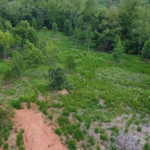 Photo #7 of 2 Gray, Timberlake, NC 10.8 acres