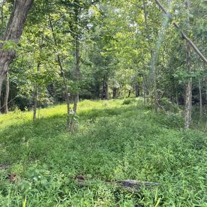 Photo #16 of 2 Gray, Timberlake, NC 10.8 acres