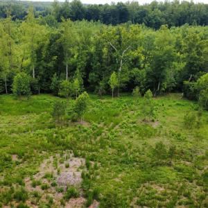 Photo #12 of 2 Gray, Timberlake, NC 10.8 acres