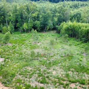 Photo #9 of 2 Gray, Timberlake, NC 10.8 acres