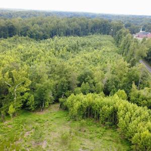 Photo #11 of 2 Gray, Timberlake, NC 10.8 acres